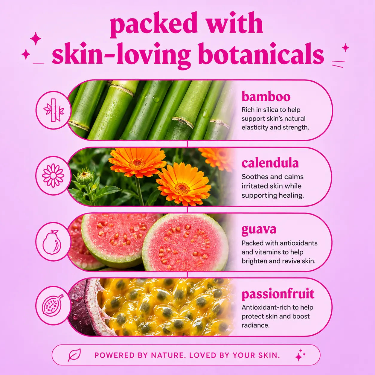 Stellar Beauty the Sun Duo Skincare Set – SPF 50 Mineral Sunscreen & Hydrating Face Mist, Broad Spectrum UVA/UVB Protection, Refreshing Facial Mist, Outdoor Skincare Bundle